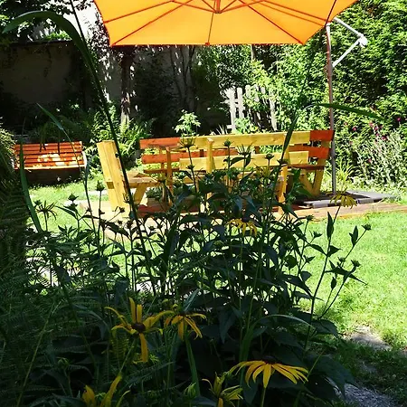 Des Glaciers * شامونكس